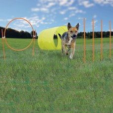 Kyjen Outward Hound Agility Starter Kit Outdoor - OH42003